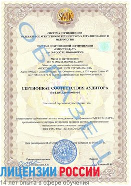 Образец сертификата соответствия аудитора №ST.RU.EXP.00006191-3 Североморск Сертификат ISO 50001